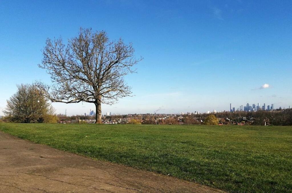 Apartamento Spacious Modern 1-bedroom In Catford - Excellent Transport Links - Ideal For Long Londres